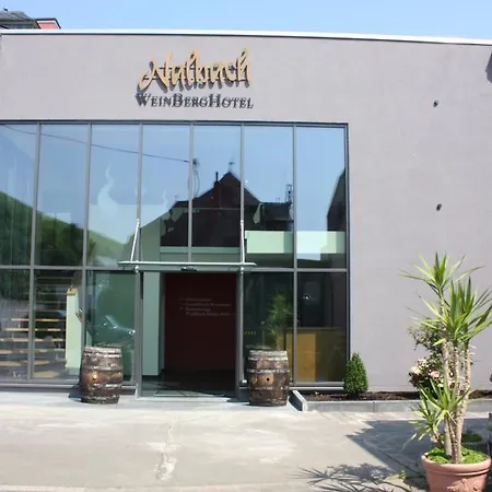Weinberghotel Nalbach 3* Reil
