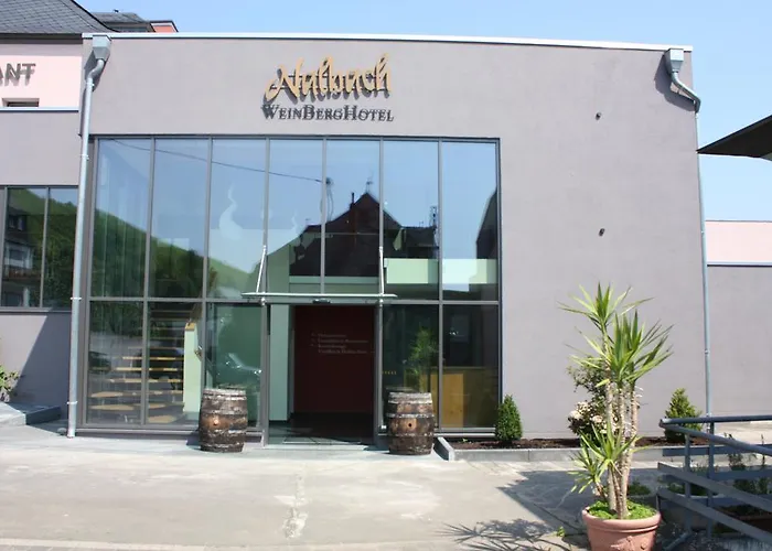 Weinberghotel Nalbach 3* Reil