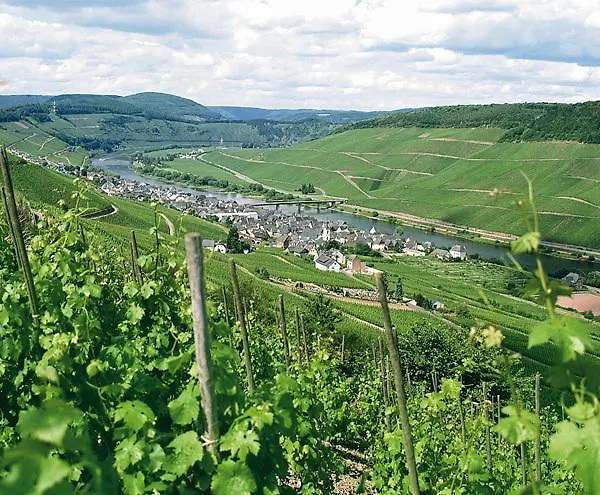 Weinberghotel Nalbach